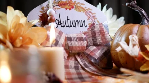 Thanksgiving table holiday props Stock Footage 202592494