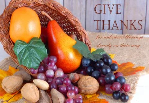 Thanksgiving tabletop Stock Illustration