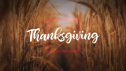 Thanksgiving Title Graphics Over A Wheat Field Stock Footage 139604565