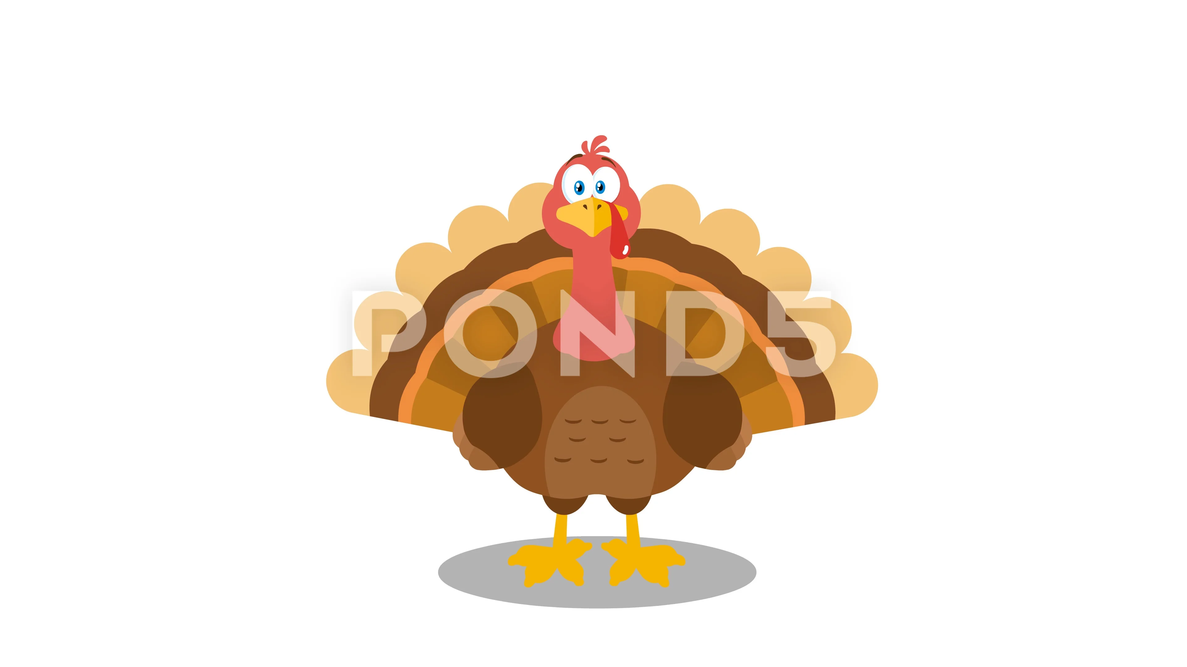 Thanksgiving Turkey Bird Cartoon Charact... | Stock Video | Pond5