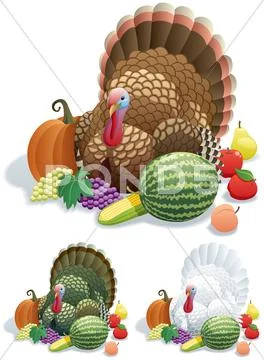 Thanksgiving Turkey Stock Illustration