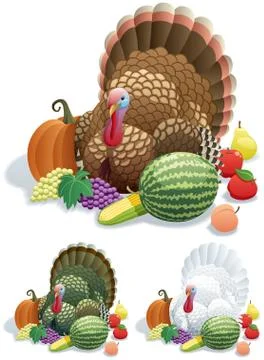 Thanksgiving Turkey Stock Illustration