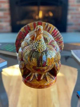 Thanksgiving Turkey Stock Photos
