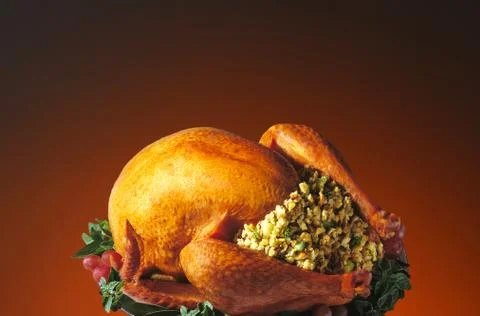 Thanksgiving Turkey on Warm Background Stock Photos