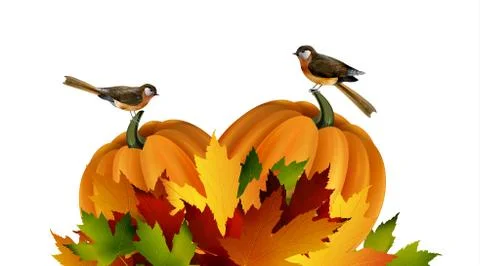 Thanksgiving vector autumn composition Stock Illustration