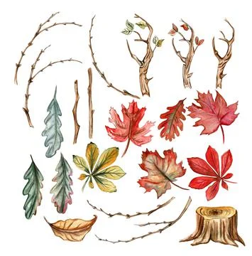 Thanksgiving watercolor elements Stock Illustration
