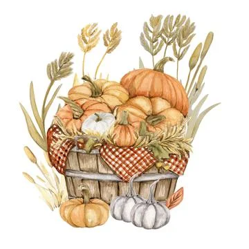 Thanksgiving watercolor elements 스톡 일러스트