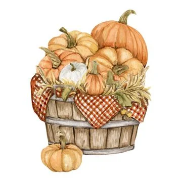Thanksgiving watercolor elements 스톡 일러스트