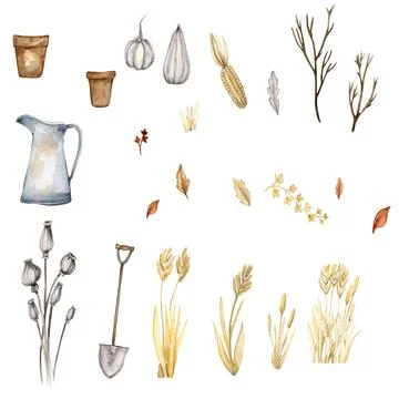 Thanksgiving watercolor elements Stock Illustration