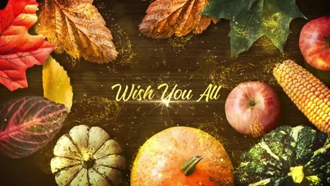 Thanksgiving Wishes Stock After Effects