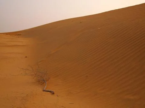 Thar Desert in India Stock Photos
