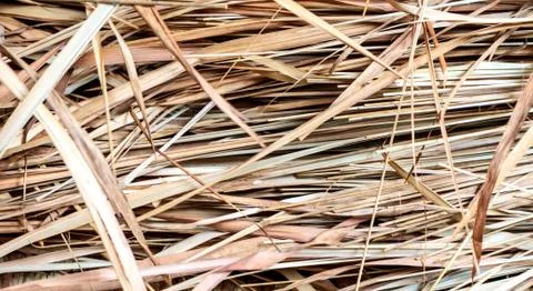 Thatch background Stock Photos