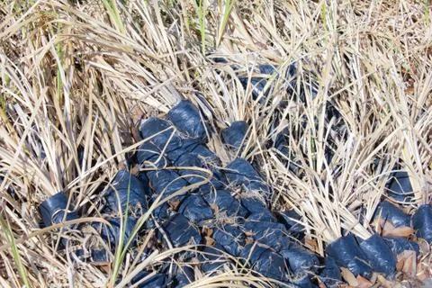 Thatch background Stock Photos