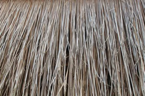 Thatch Stock Photos