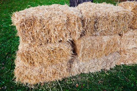 Thatch Stock Photos