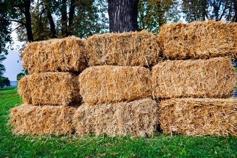 Thatch Stock Photos