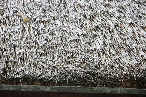 Thatch roof Stock Photos
