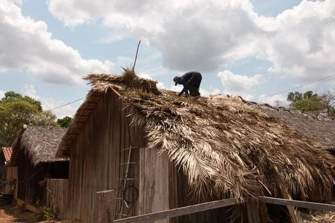 Thatch Roof Stock Photos