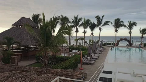 Thatched Bar and Resort Pool With Palm Row, Máncora, Peru 8K Stock Footage 331483328