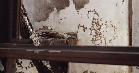 Thatched building burnt down after a lightning fire, Africa. Warzone. 스톡 동영상 233361268