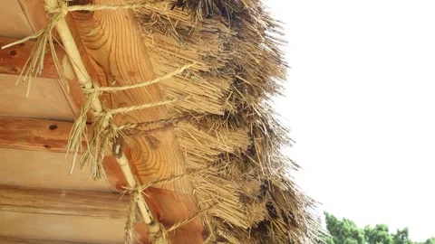 Thatched cottage with blue sky Видео 303551208