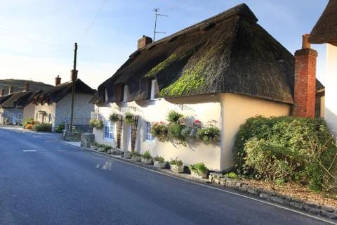 Thatched cottage dorset Stock Photos
