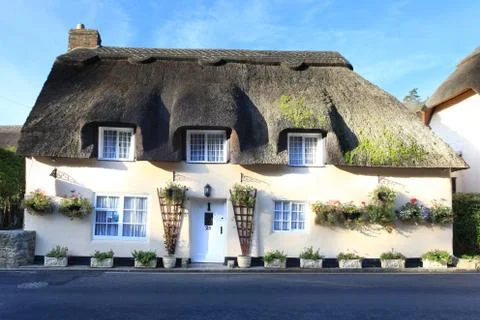 Thatched cottage dorset Stock Photos