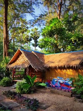 Thatched cottage surrounded by trees and plants in a tropical setting near .. Stock Photos