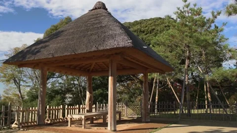 Thatched hut Stock Footage 166382591