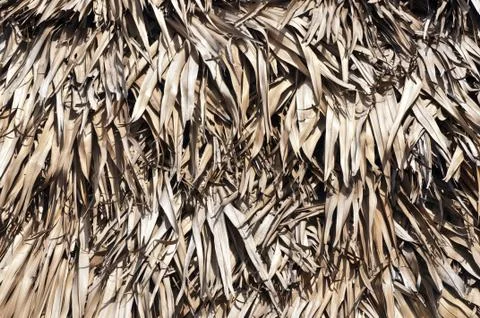 Thatched Stock Photos