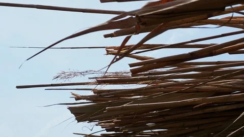 Thatched roof in the wind Stock Footage 82991423