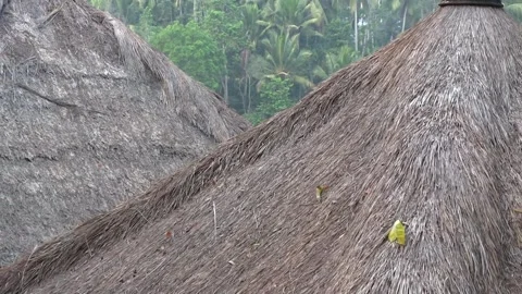 Thatched Roofs Of Cabanas In Bali Stock Footage 144598982