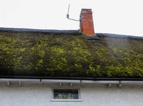 Thatched Roofs in England, State of Devon, Crediton. Stock Photos