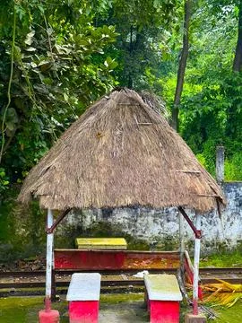 Thatched structure with seating stands adjacent to railway tracks amidst verd Фото