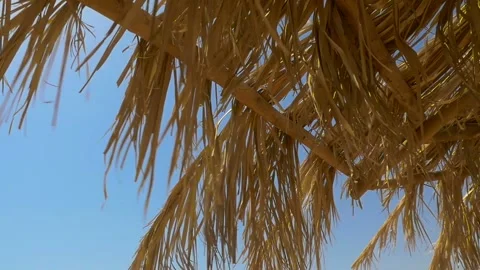 Thatched umbrella on the beach. Close-up Vidéo 153570408