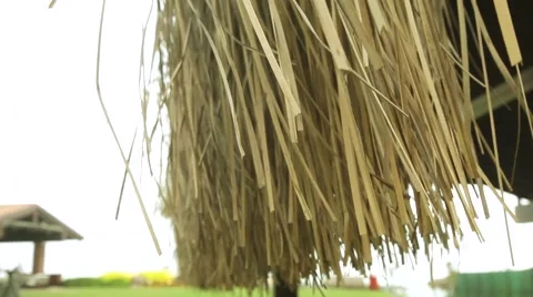 Thatched umbrellas on beach Stock Footage 64877129