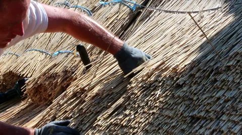 Thatcher putting the straws at place Video stock 37106588