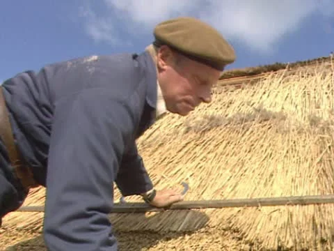 Thatcher working on a reed roof Stock Footage