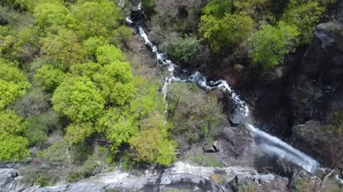 ThatcherParkSpring11 Stock Footage 245397806