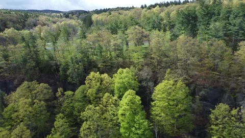 ThatcherParkSpring18 Stock Footage 245397936