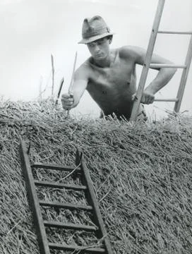 Thatching in the 1980s Fotos de archivo