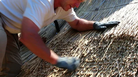Thatching a roof Stock Footage 37106400