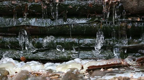 Thaw and falling drops of water Stock Footage 43040905