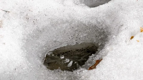 Thaw beginning of spring Stock Footage 105604763