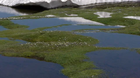 Thaw Stock Footage 35610383