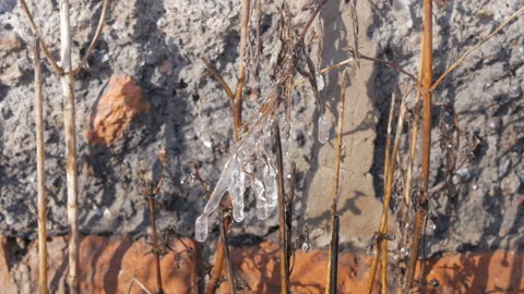 Thaw. Icicles Melts And Drips Down In The Spring. Stock Footage 122856598