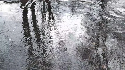 Thaw spring waters Stock Footage 133365333
