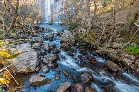 Thaw stream in the middle of the forest Stock Photos