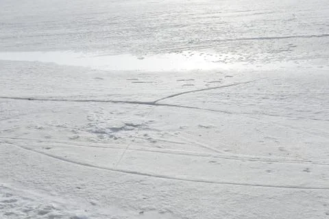 Thawed and dangerous crack on the surface of the ice. Stock Photos