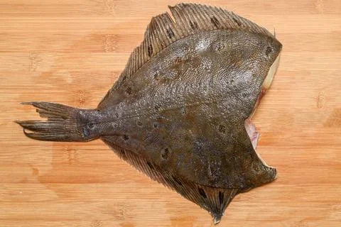 Thawed headless flounder on a cutting board. Stock Photos
